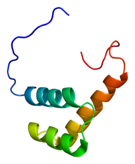 ZEB2 protein