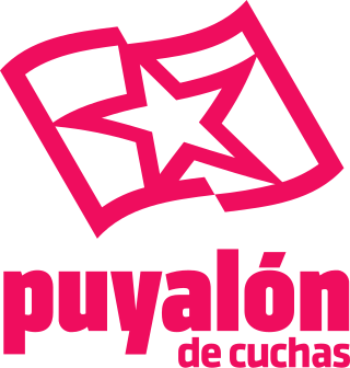 <span class="mw-page-title-main">Puyalón de Cuchas</span> Political party