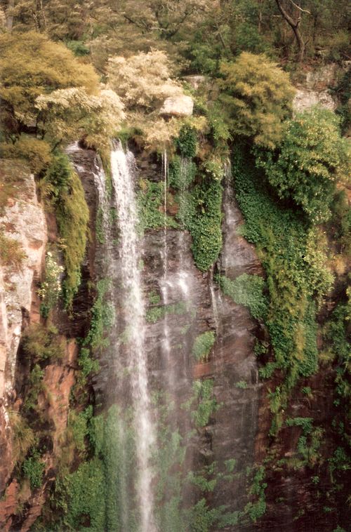 Image: Queen Mary Falls 3