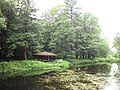 Vignette pour Réserve naturelle du Boisé-du-Séminaire