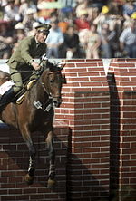 Thumbnail for Equestrian at the 1980 Summer Olympics – Individual jumping