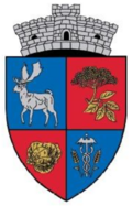 Wappen von Socodor