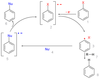 Aromatyczna substytucja nukleofilowa z wytworzeniem formy rodnikowej