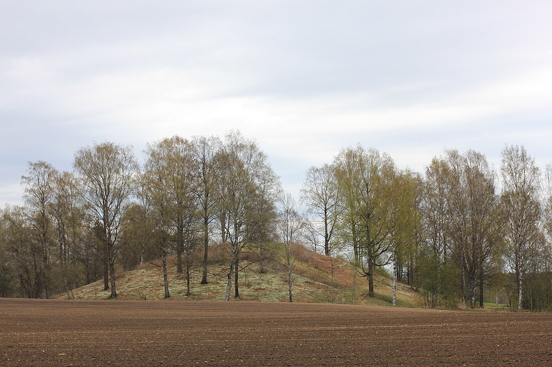 Rakni's Mound