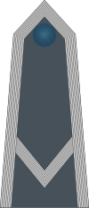 Rank insignia of sierżant of the Air Force of Poland.svg