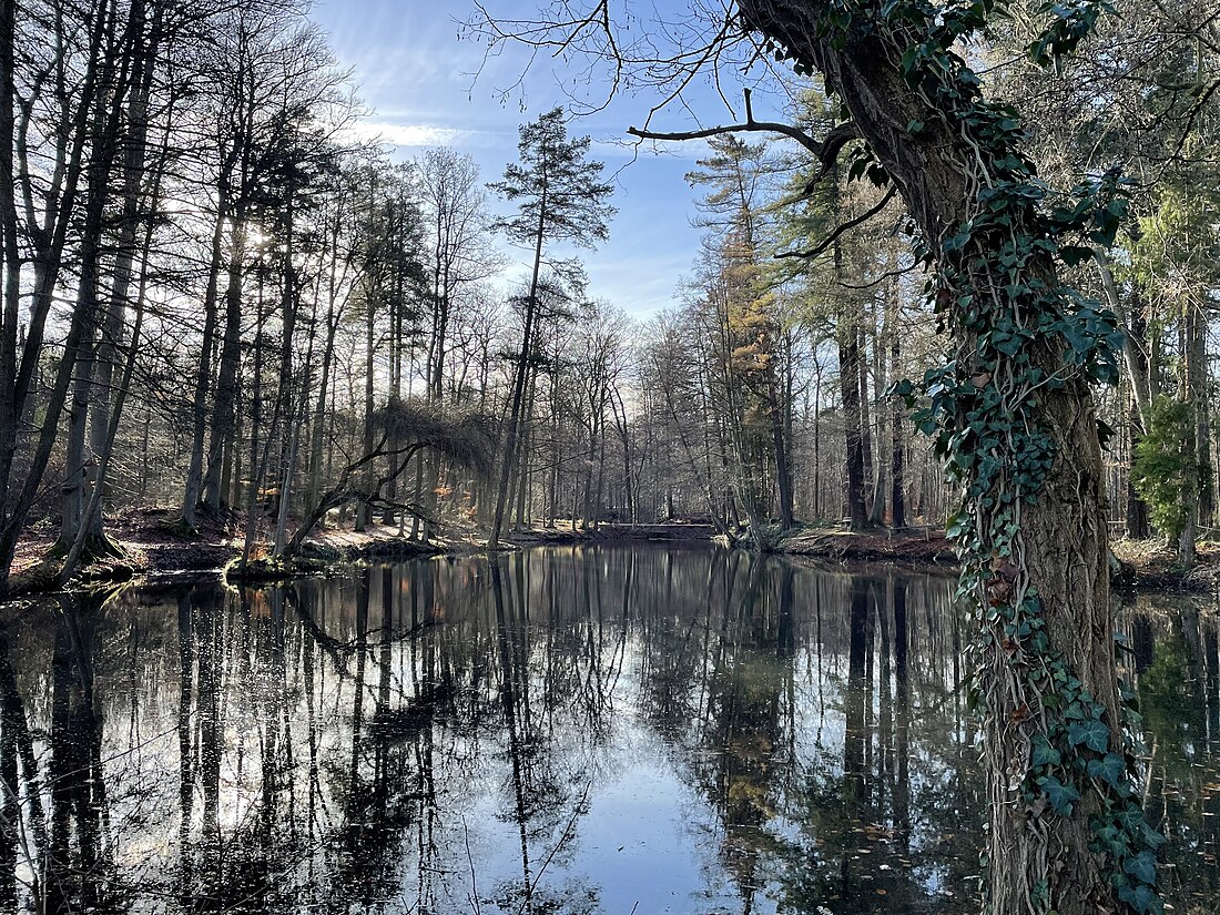 Forstweiher (Rheinbach)