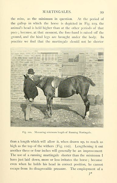 File:Riding and hunting (Page 99) BHL23572016.jpg