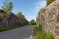 * Nomination Road at the island Rindö, Vaxholm municipality, Stockholm archipelago. --ArildV 08:05, 29 June 2013 (UTC) * Promotion Good, but some additional cats could help to find more use to this picture --Poco a poco 19:13, 29 June 2013 (UTC) Thanks, done--ArildV 19:52, 30 June 2013 (UTC).