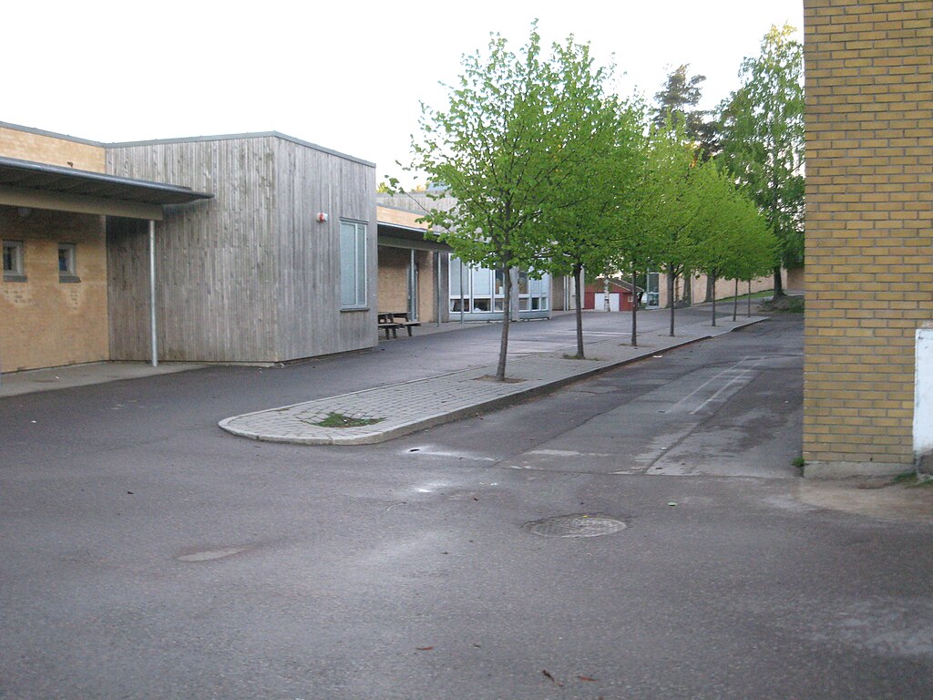 ringshaug skole