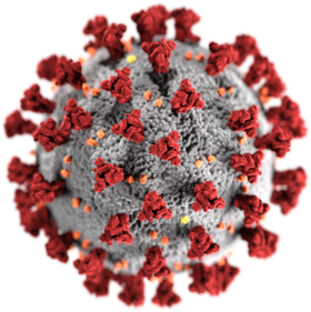 تمثيل لفريونات فيروس كورونا الجديد