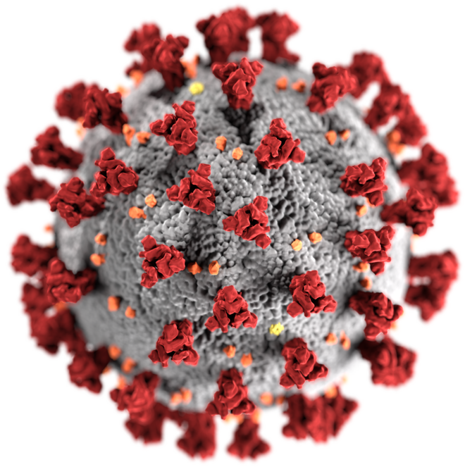 Ковид 2 вирус. Вирус коронавирус. Вирус Covid-19. Коронавирус Covid-19. Вирус коронавирус ковид-19.