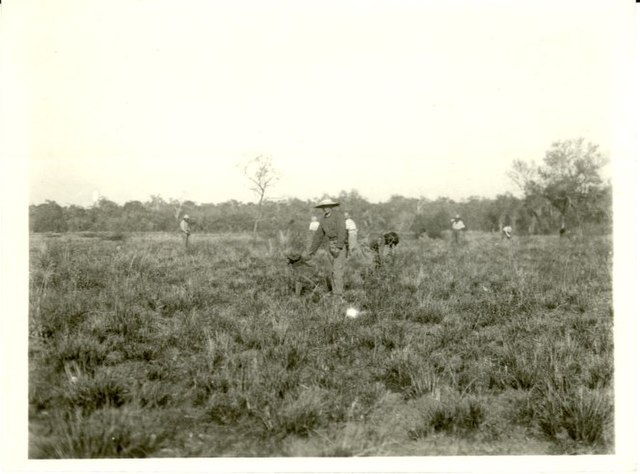 Menonitas en Paraguay Wikipedia la enciclopedia libre