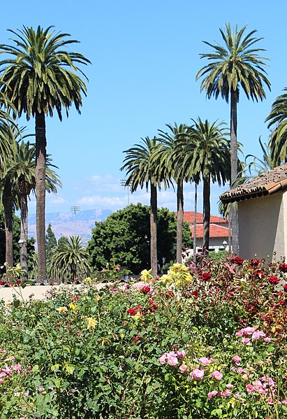 File:Santa Clara, CA USA - Santa Clara University, Mission Santa Clara de Asis - panoramio (29).jpg