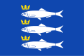 Dorpsvlag van Scheveningen