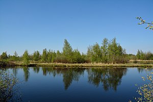 Schleswig-Holstein, Heide, Ostroher-Süderholmer Moor NIK 0117.JPG