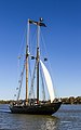 Schooner Virginia Chester River