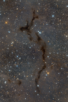 Seahorse nebula.png