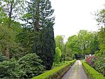 Kaldenkirchen Sequoia Farm