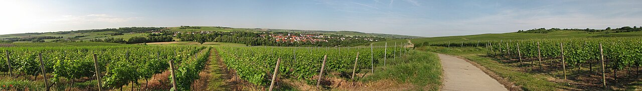 Setztal Stadecken-Elsheim banner Rural panorama.jpg