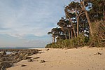 Thumbnail for File:Shaheed Island, Andamans, Tropical trees on the remote beach.jpg