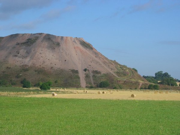 Niddry bing