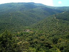 Sierra Madrona, paraje del río Robledillo.