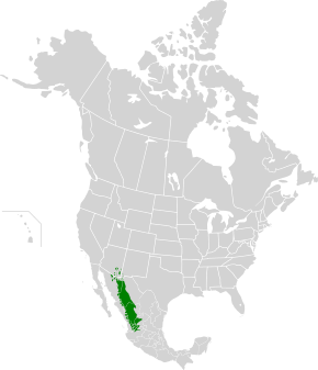 A kép leírása Sierra Madre Occidental fenyő-tölgy erdők map.svg.