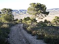 Miniatura per Serra de la Vila