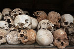 Minijatura za Kambodžanska polja smrti