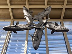 Skyline artwork at Hālaulani - A Gathering of Mullets.jpg