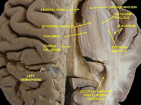 ไฟล์:Slide3GRE.JPG