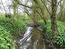 Slinfold Stream und Steinbruch (2) .jpg