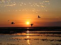 Sonnenuntergang in Los Llanos