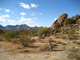 Sonoran Desert near Maricopa, Arizona