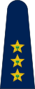 SouthAfrica-Police-OF-2.svg