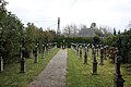 English: Monastery cemetery Deutsch: Klosterfriedhof