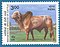 Stamp of India - 2000 - Colnect 161121 - Gir Zebu Bos primigenius indicus.jpeg