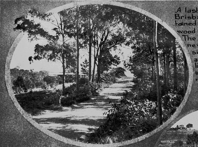 File:StateLibQld 1 68671 Along the road in Moggill in 1928.jpg