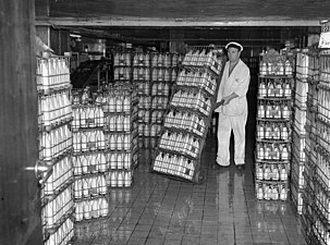 Mjölkflaskor i trådkorgar, 1953.