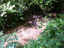 Stream in Dallington Forest - geograph.org.uk - 455731.jpg
