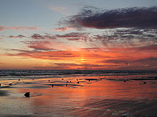 Submerged forest stumps exposed on Borth sands near Ynyslas at low tide