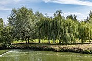 English: Svislač river near Sierabranka microdistrict. Minsk, Belarus Беларуская: Рака Свіслач каля мікрараёна Серабранка. Мінск, Беларусь Русский: Река Свислочь возле микрорайона Серебрянка. Минск, Беларусь