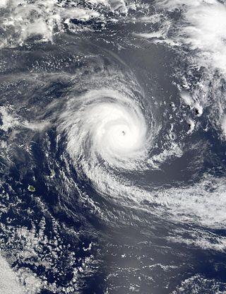 <span class="mw-page-title-main">Cyclone Dina</span> South-West Indian cyclone in 2002