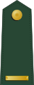 Taiwan-army-OF-1a.svg