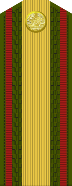 Миниатюра для Файл:Tajikistan-Army-OR-8.png