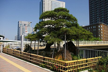 File:TakonoMatu-Taminobashi.jpg