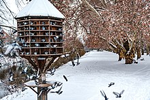 Dovecote on the Neckar island