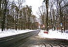 Konradshöherstraße vom Waldkauzweg nach Norden zum Forst