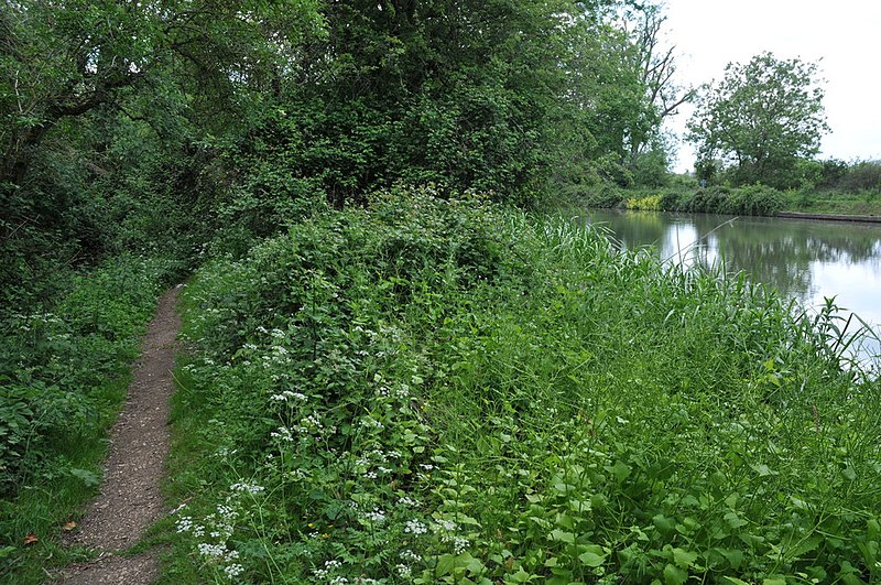 File:Thames Path near Shifford Lock - geograph.org.uk - 2429106.jpg