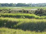 Leiston - Aldeburgh